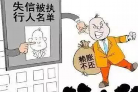 陆河融资清欠服务